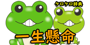 ケロケロクイズ 四字熟語 ことわざ 慣用句など語彙をクイズゲームで覚えよう